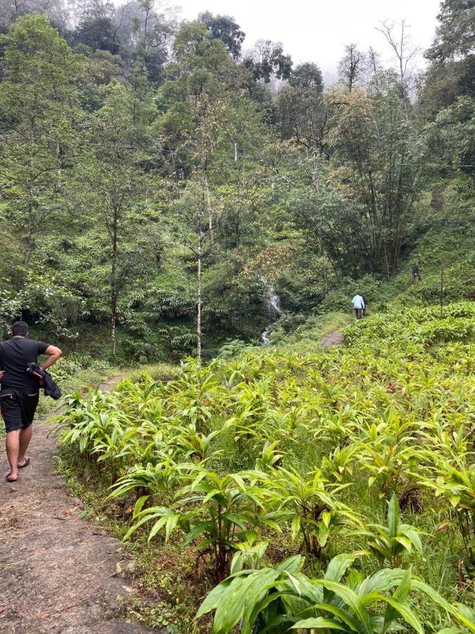 Khimsha Homestay Pelling Eksteriør bilde