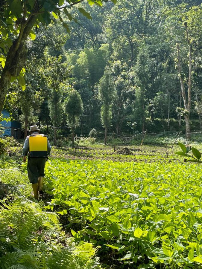 Khimsha Homestay Pelling Eksteriør bilde