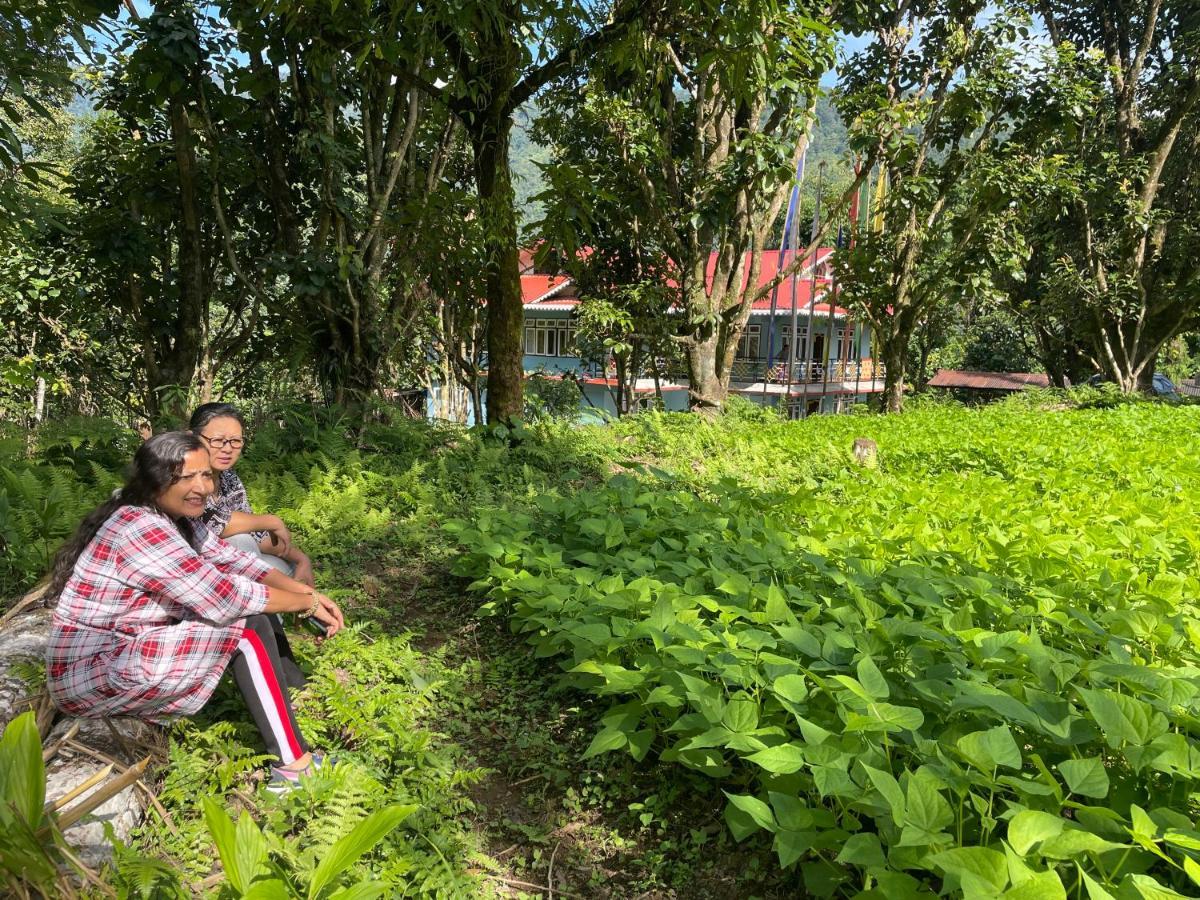 Khimsha Homestay Pelling Eksteriør bilde
